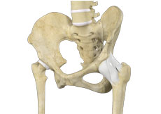 Hip Ligament Injuries